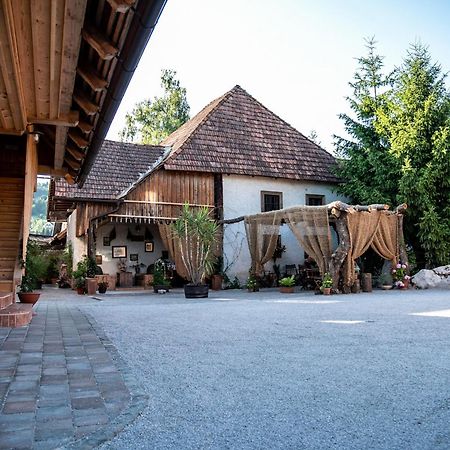 Resort Hisa Ida - Apartments With Hot Tub And Sauna Ivancna Gorica Eksteriør bilde